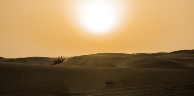 esperar_dez_630x313 1