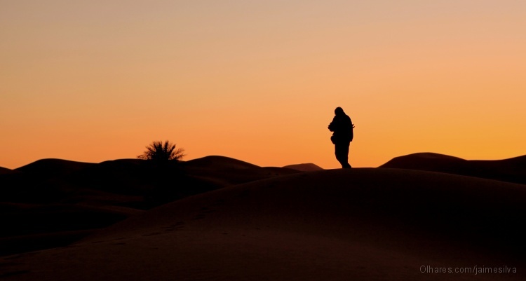 Peregrinos no deserto da vida