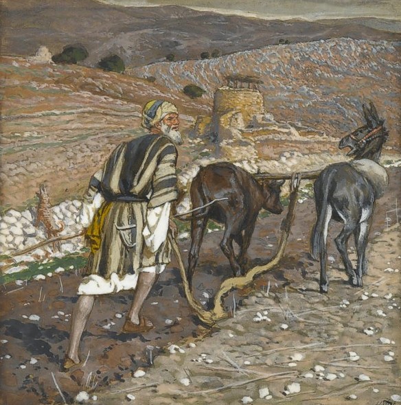 Tissot