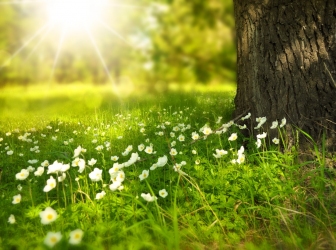 A primavera chegará