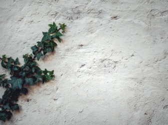 Não somos só o que fica depois das perdas